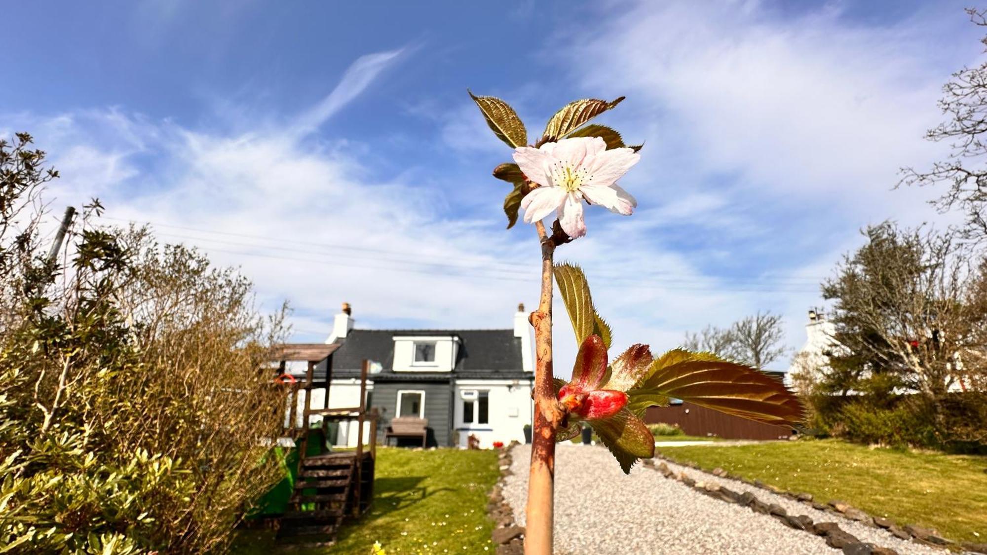 Carnmhor, Isle Of Skye - Stunning 242 Year Old Cottage On Its Own Sea Shore! Breakish 外观 照片